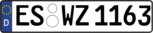 ES-WZ1163