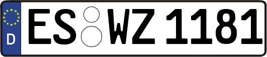 ES-WZ1181