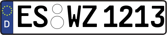 ES-WZ1213