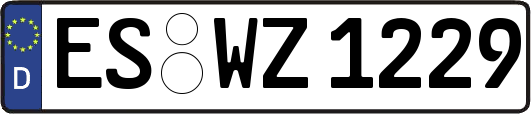 ES-WZ1229