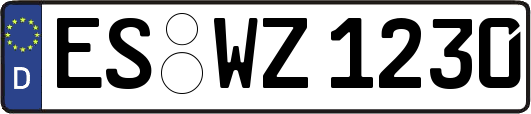 ES-WZ1230
