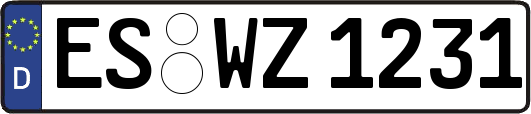 ES-WZ1231