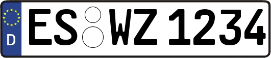 ES-WZ1234