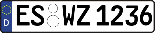 ES-WZ1236