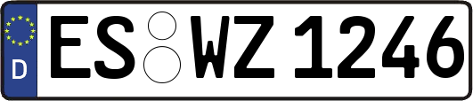ES-WZ1246
