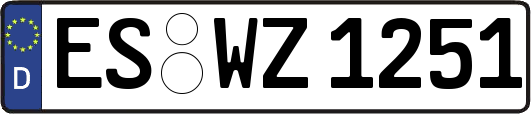 ES-WZ1251