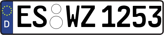 ES-WZ1253