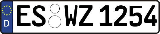 ES-WZ1254