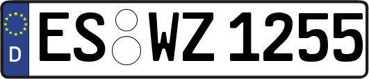 ES-WZ1255