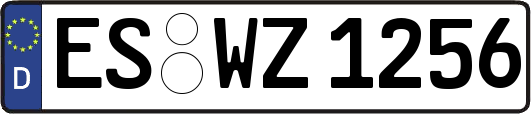 ES-WZ1256