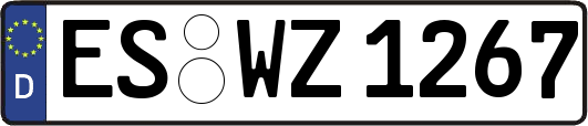 ES-WZ1267