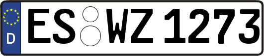 ES-WZ1273