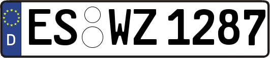 ES-WZ1287