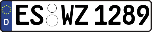 ES-WZ1289