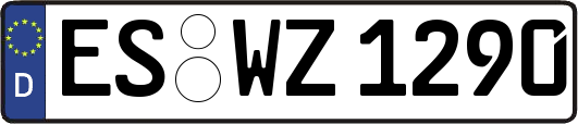 ES-WZ1290
