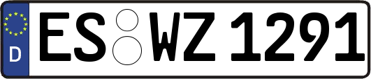 ES-WZ1291