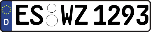 ES-WZ1293