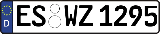 ES-WZ1295