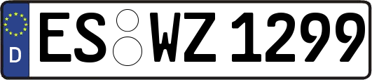 ES-WZ1299