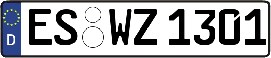 ES-WZ1301