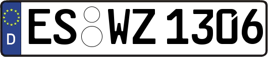 ES-WZ1306