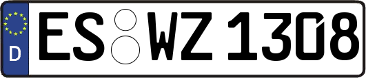 ES-WZ1308