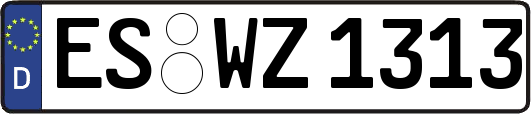 ES-WZ1313