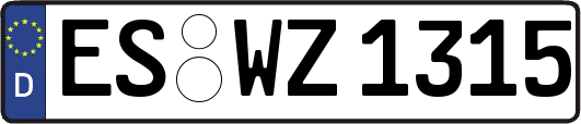 ES-WZ1315