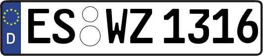 ES-WZ1316
