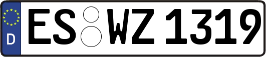 ES-WZ1319