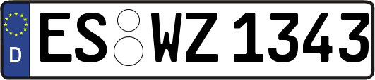 ES-WZ1343