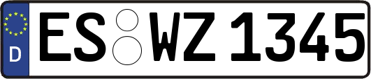 ES-WZ1345