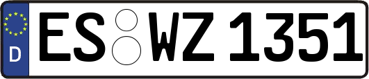 ES-WZ1351
