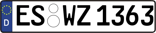 ES-WZ1363