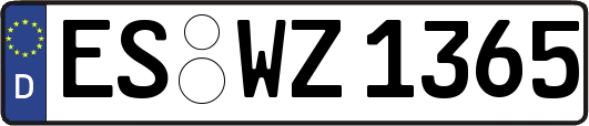 ES-WZ1365