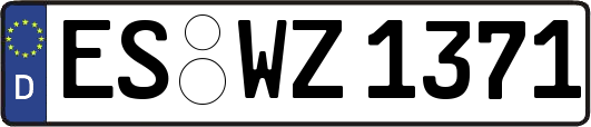ES-WZ1371