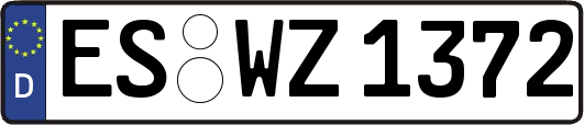ES-WZ1372