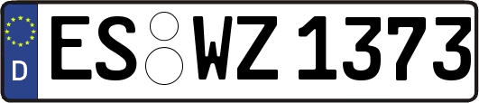 ES-WZ1373