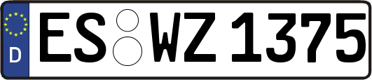 ES-WZ1375