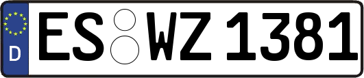 ES-WZ1381