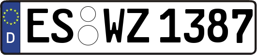 ES-WZ1387