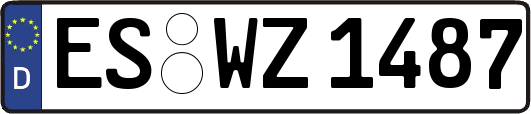 ES-WZ1487