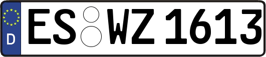 ES-WZ1613