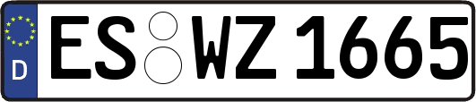 ES-WZ1665
