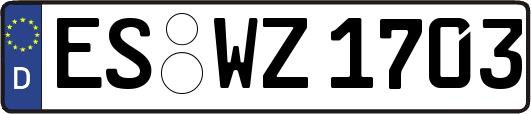 ES-WZ1703