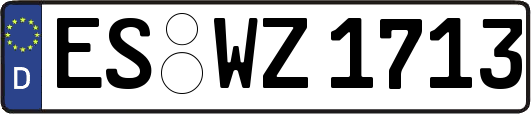 ES-WZ1713