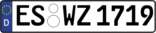 ES-WZ1719