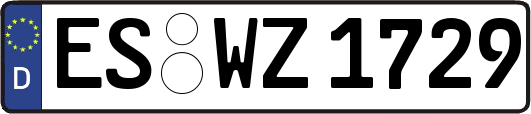 ES-WZ1729
