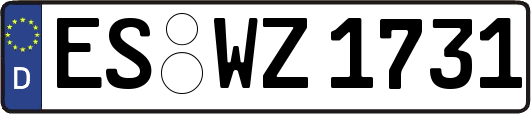 ES-WZ1731