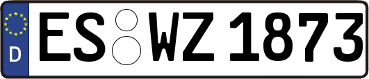 ES-WZ1873